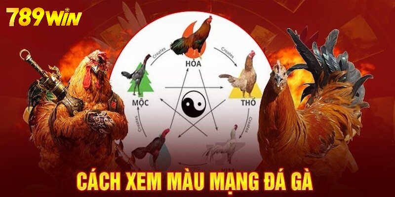 Cách xem màu mạng đá gà