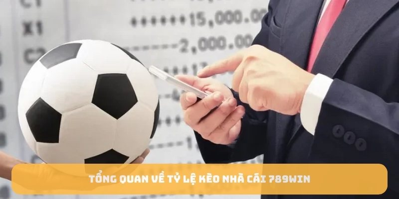 Tổng quan về tỷ lệ kèo nhà cái 789WIN